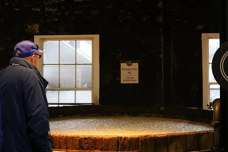 Alive in the Tank: What Fermentation's Ancient Roots Teach Us About the Beer in Your Hand