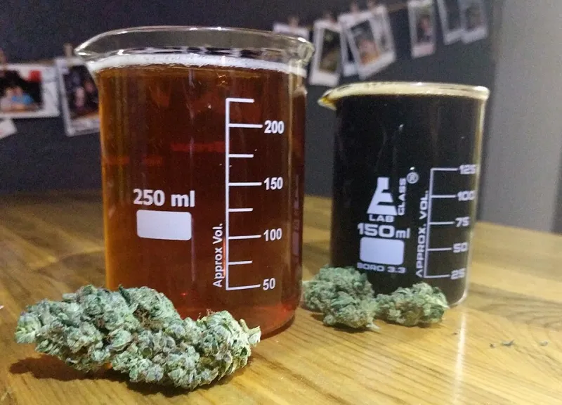 Rooted in Place: How American Brewers Are Letting the Land Shape the Beer